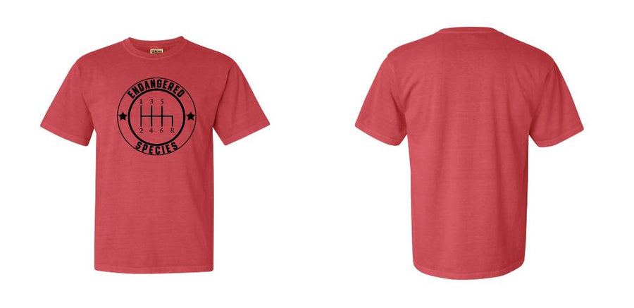 Comfort Colors Garment-Dyed Heavyweight T-Shirt - Design Your Own