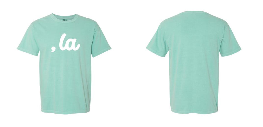 Comfort Colors Garment-Dyed Heavyweight T-Shirt - Design Your Own