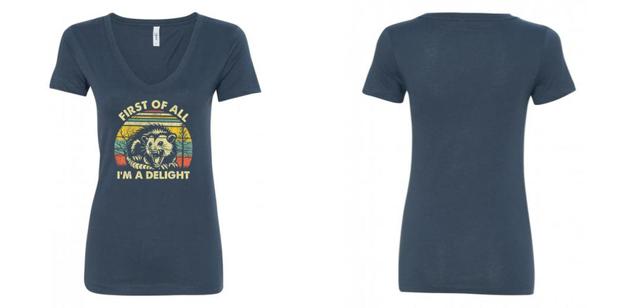 Next Level - Women's Ideal V-Neck T-Shirt - Design Your Own