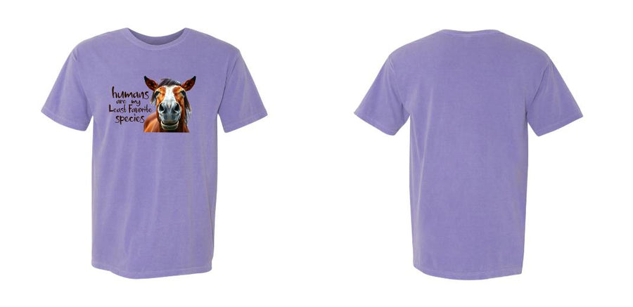 Comfort Colors Garment-Dyed Heavyweight T-Shirt - Design Your Own