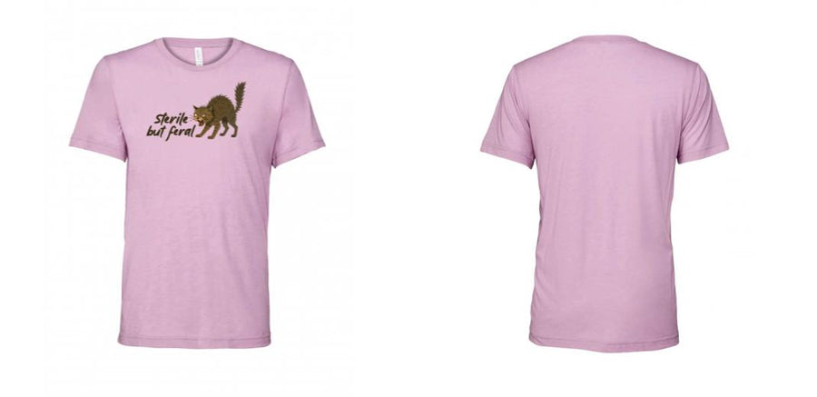 Unisex Triblend Tee - Design Your Own