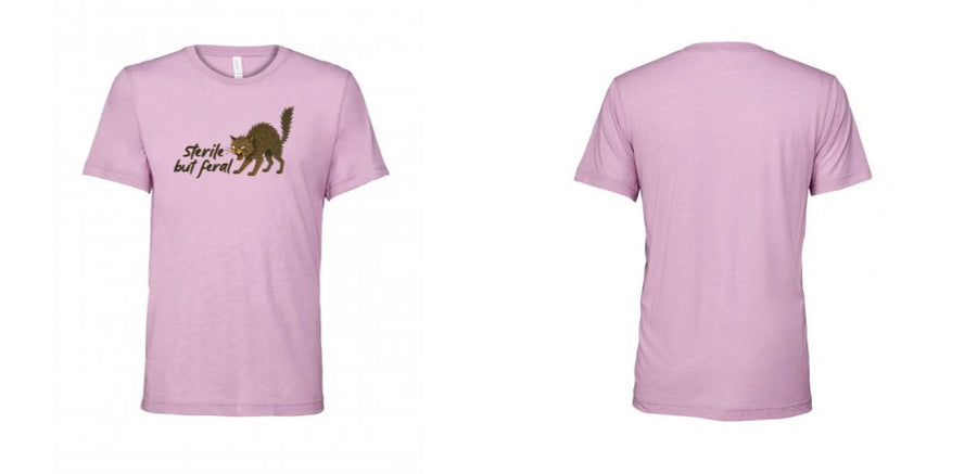 Unisex Triblend Tee - Design Your Own