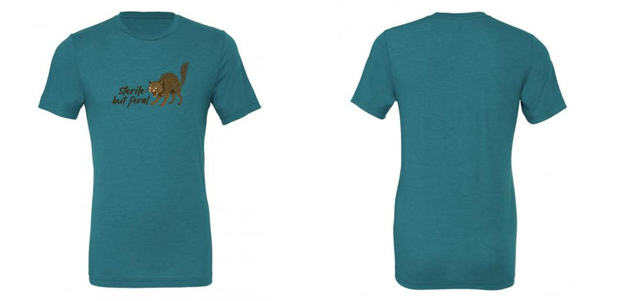 Unisex Triblend Tee - Design Your Own