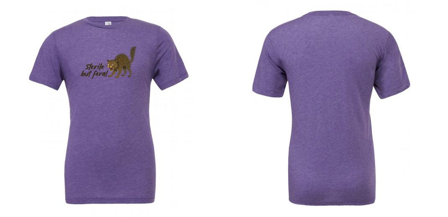 Unisex Triblend Tee - Design Your Own