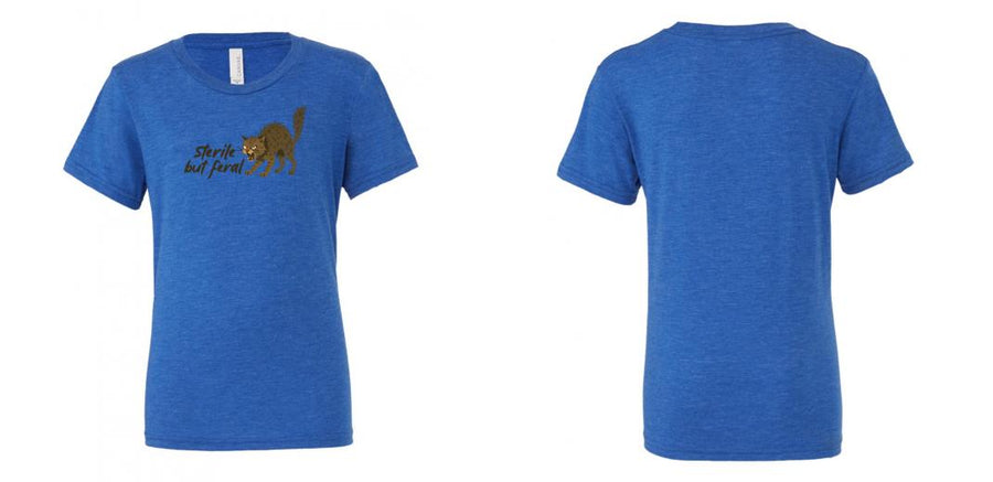 Unisex Triblend Tee - Design Your Own