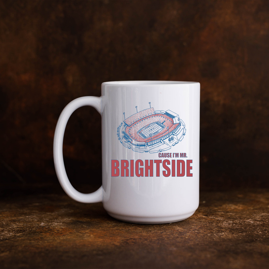 Mr. Brightside Buffalo Stadium 15oz Mug