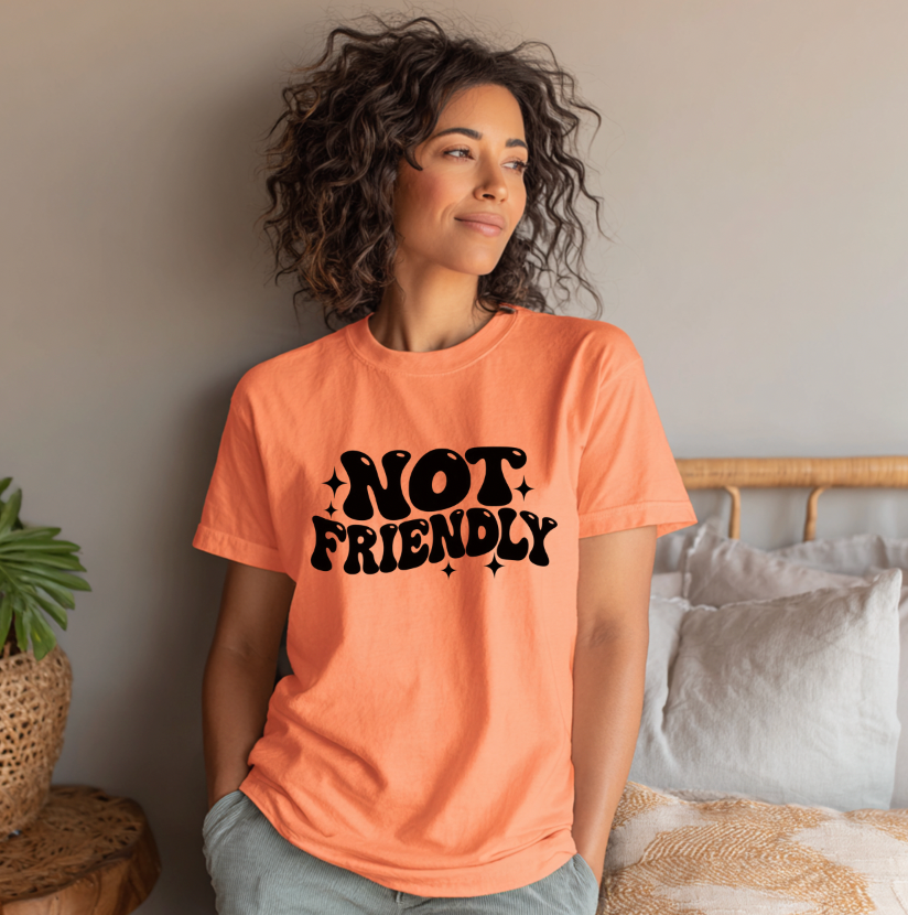 Not Friendly Unisex T-shirt