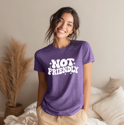 Not Friendly Unisex T-shirt