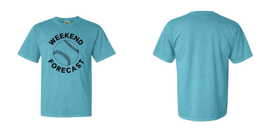 Comfort Colors Garment-Dyed Heavyweight T-Shirt - Design Your Own