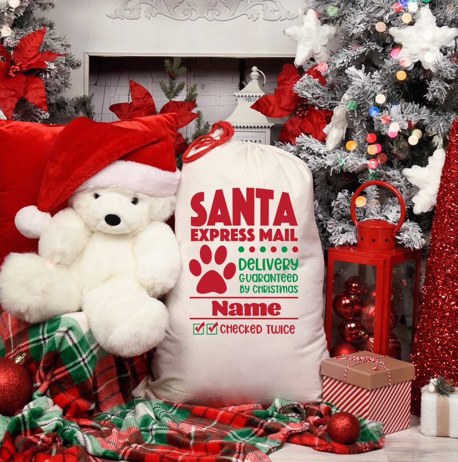 Pet Santa Express Mail Santa Sack