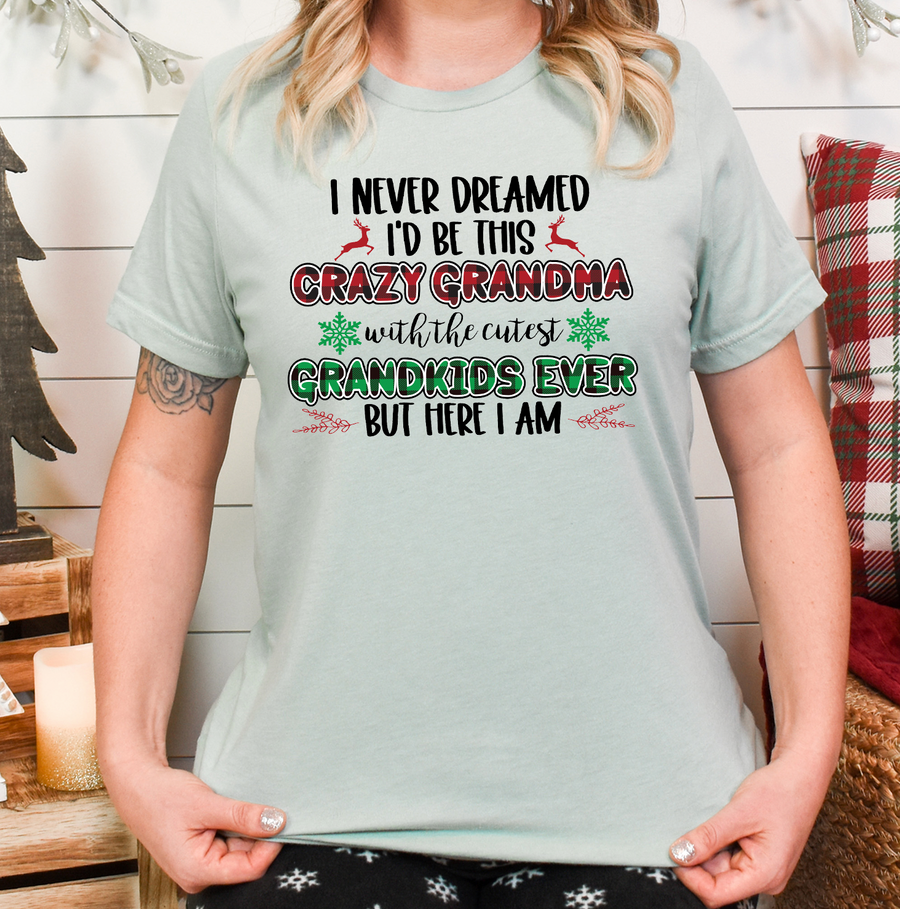 Crazy Grandma Christmas Unisex T-shirt